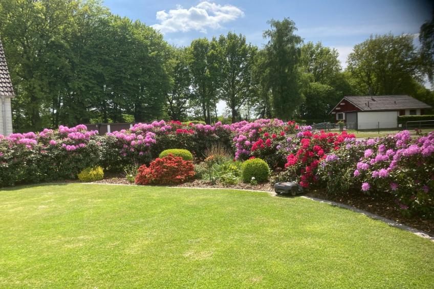 mit großer Dachterrasse - foto 3