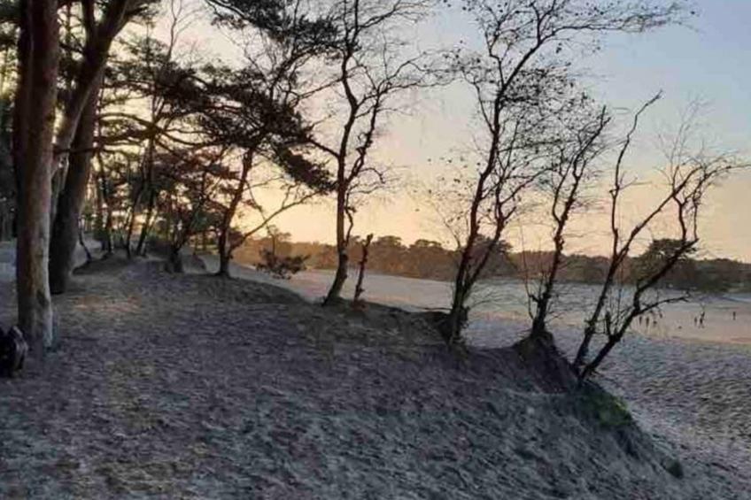 De Douglas - foto 28