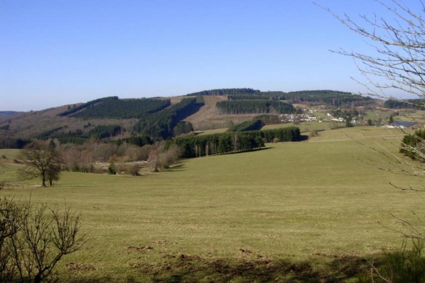 Dreamer 49 - foto 28