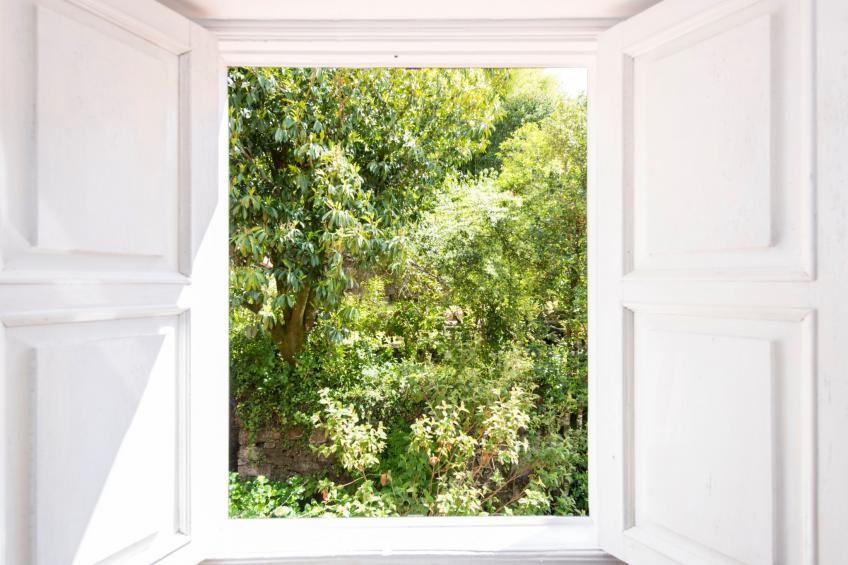 für 12 Personen und 2 Kinder in Redondela, Costa Verde Spanien (Rías Baixas) - foto 41