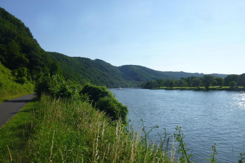 Moselschiefer-Traumferienwohnung am Moselufer - foto 47