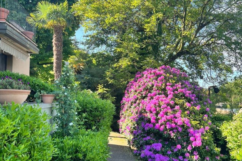 Bnbook Hecht Haus - foto 3