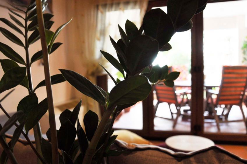 Volos Studio im Erdgeschoss in Strandnähe - foto 15