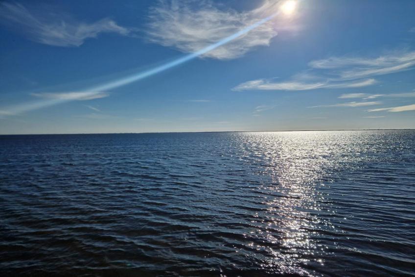 BF-2TJX3 - foto 19