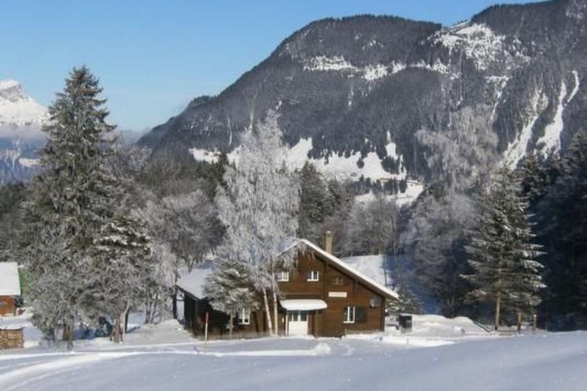 Ferien im grünen rechts - foto 4