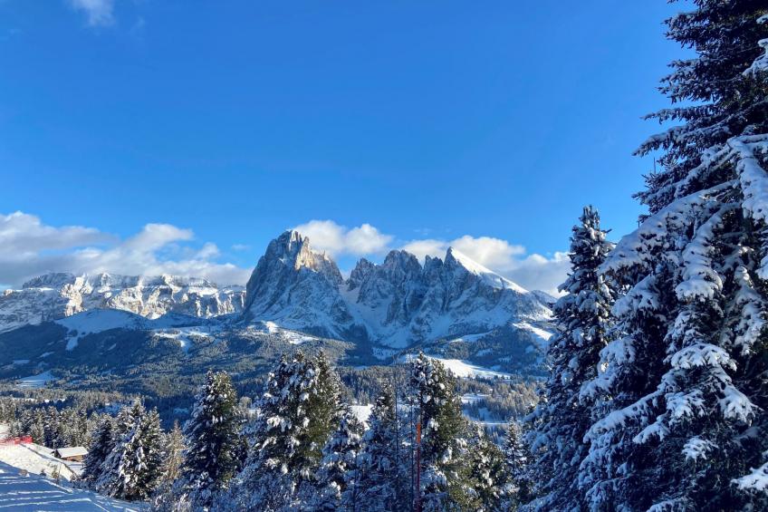 Cesa Vedla DOLOMITES - foto 11