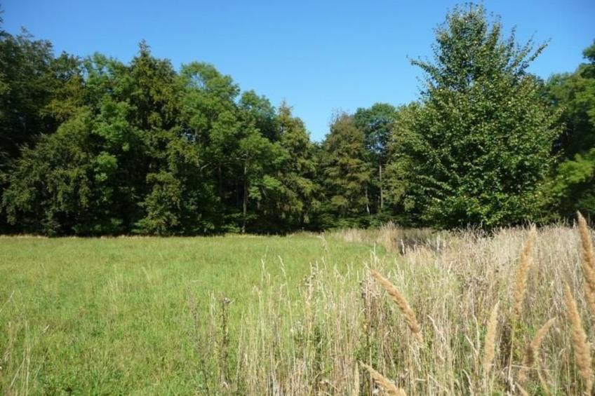 An den Tannen 31 - foto 22