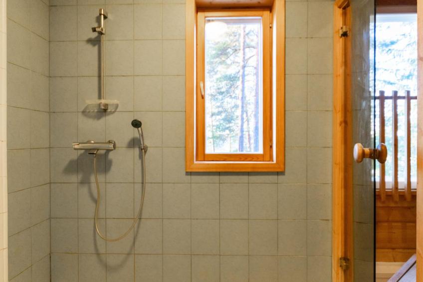 Näsinjoutsen - foto 15