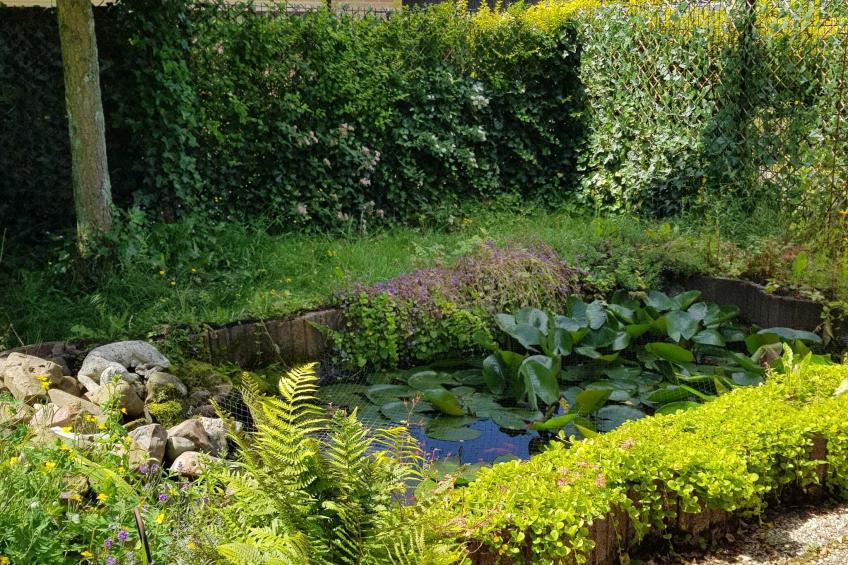 Bungalow Sonnerust - foto 26