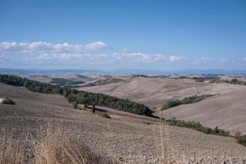 il Coppo - foto 39