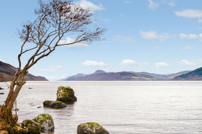 Shepherds Hut - foto 27