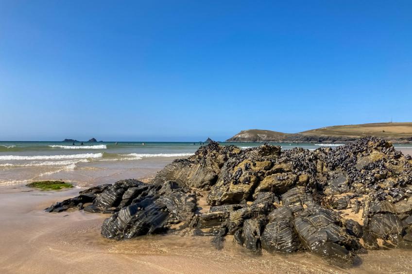 Sunny Nook - foto 28