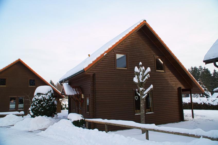 Ferienhaus in Hasselfelde - Haus 46 Blauvogel