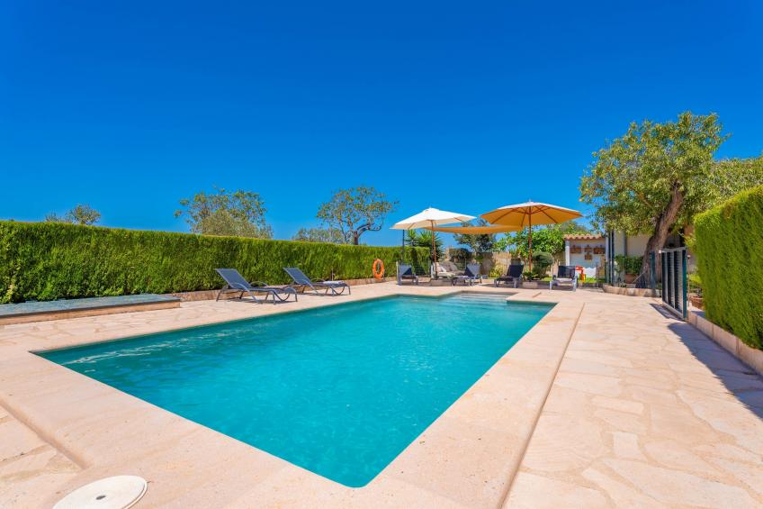 Els Xiprers - foto 7