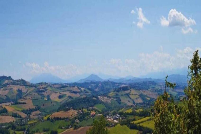 Vino - foto 24