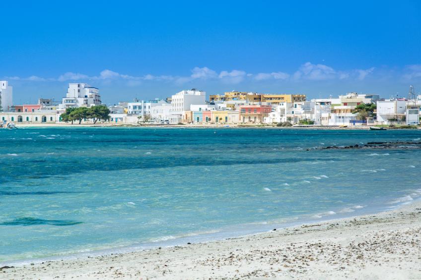 Rusciu Te Lu Mare Apartment - foto 24