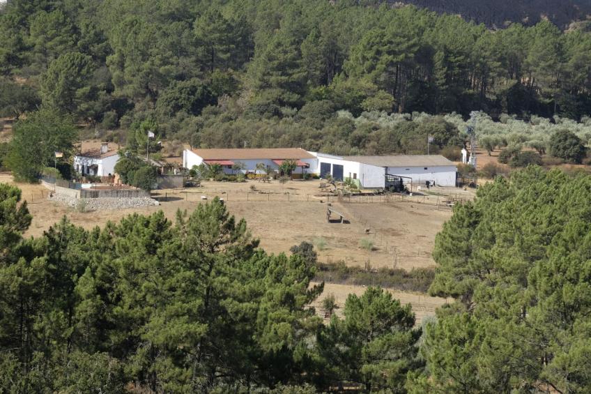 Finca El Chorrillo Studio - foto 29