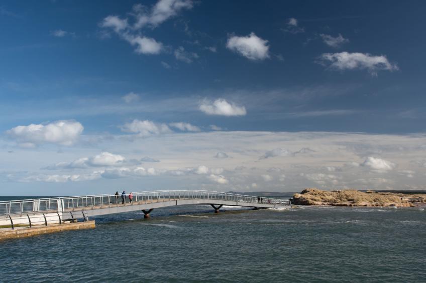 Marina View - foto 33