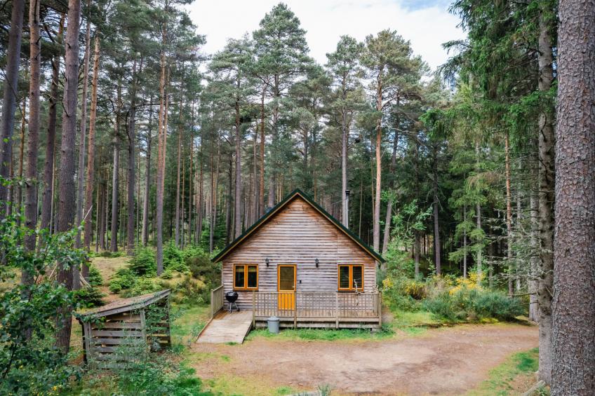 Red Squirrel Lodge