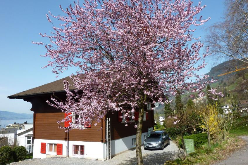 Chalet Bärgblick - foto 21