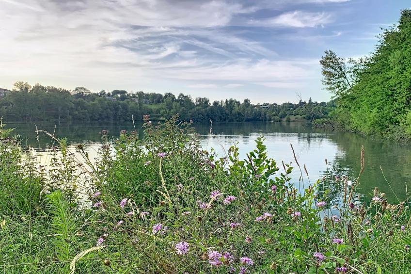 Hameaux des Lacs Two-Bedroom Cottage for 6 people - foto 30