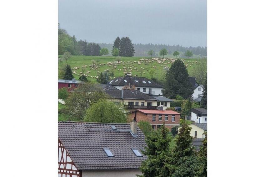 310140 - foto 29