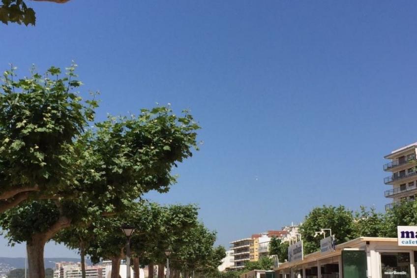 Costa Brava Palamos Chalettas - foto 15