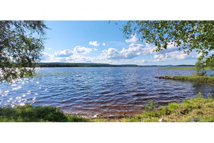 Koivulahden reinola - foto 27