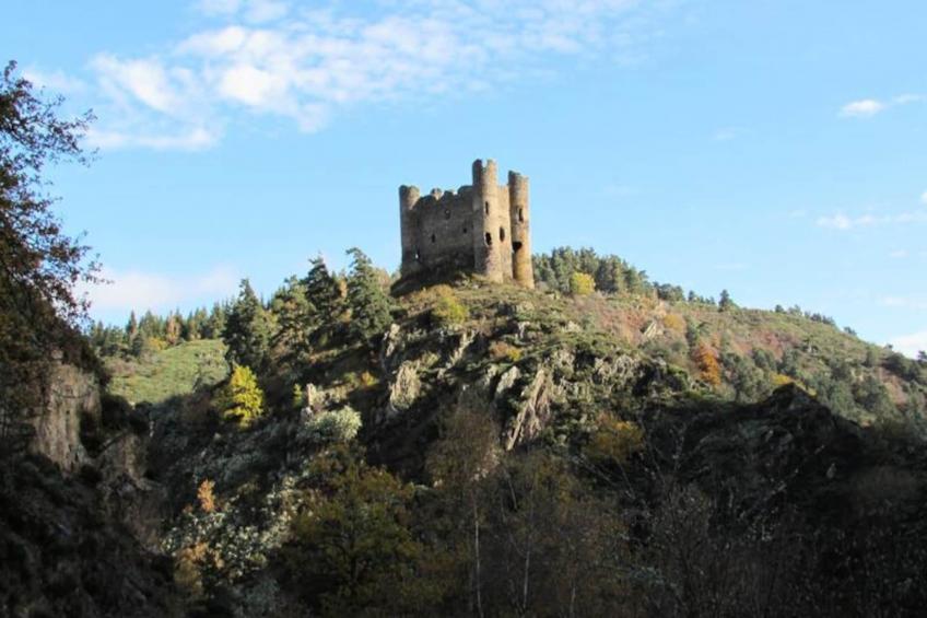 Gîte de France Gîtes de france 11 personnes au teil 3 épis - foto 24