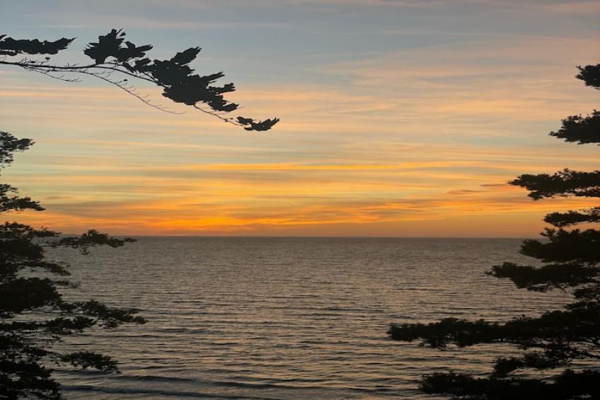 Dom wakacyjny z sauną i jacuzzi dla 2 osób Lubin - foto 23