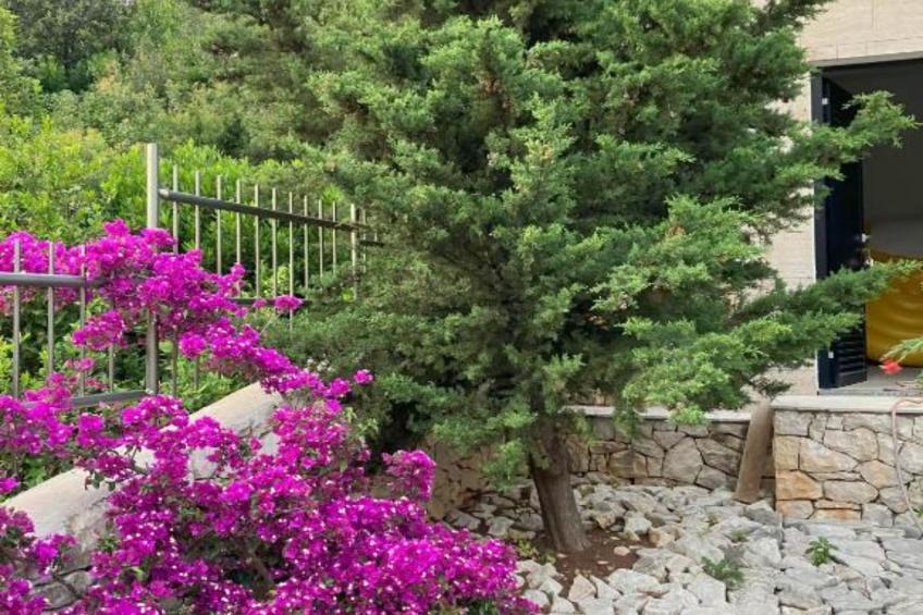 Beachfront Luxury Villa with Private Pool and Stunning Sea Views - foto 26