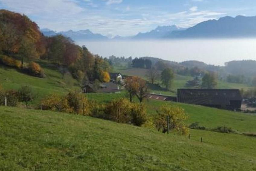 Studio in renoviertes Bauernhaus (3 Pers.) - foto 3