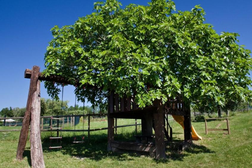 Bauernhof-Scheune - foto 20