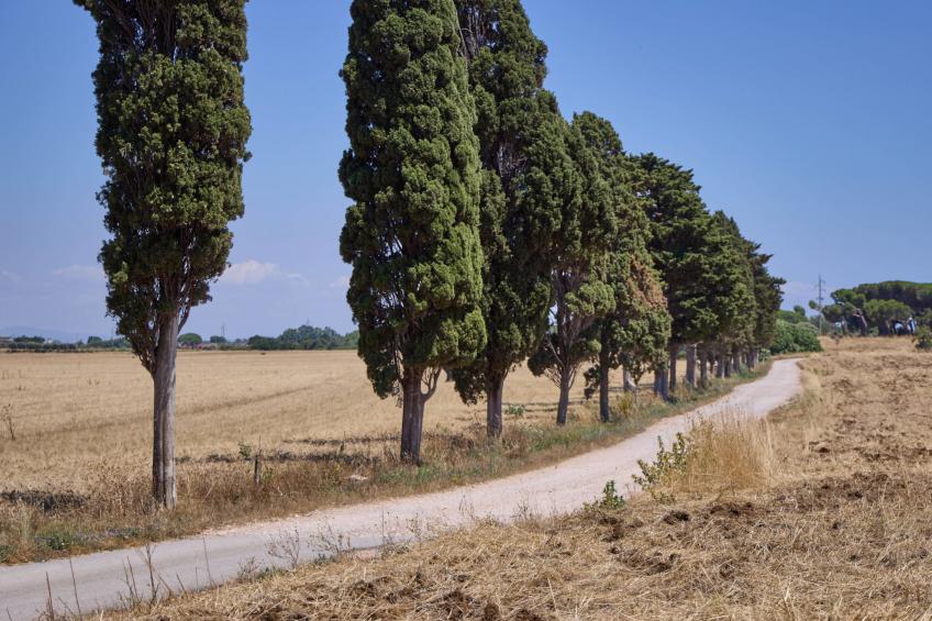 Costa D'Argento - foto 27