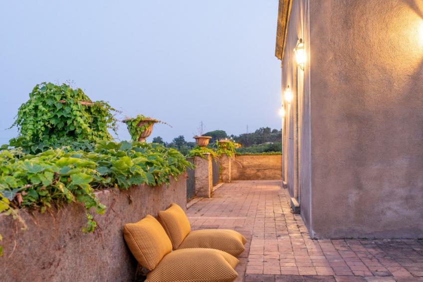 Avocado Garten - foto 42