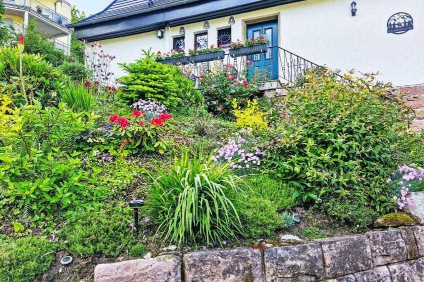 Schwarzwald Königin - foto 13