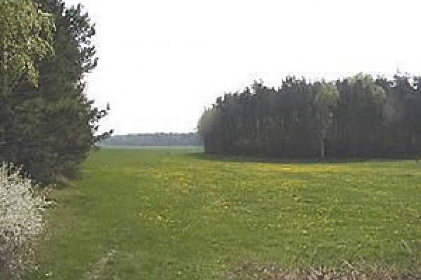 13267 - foto 20