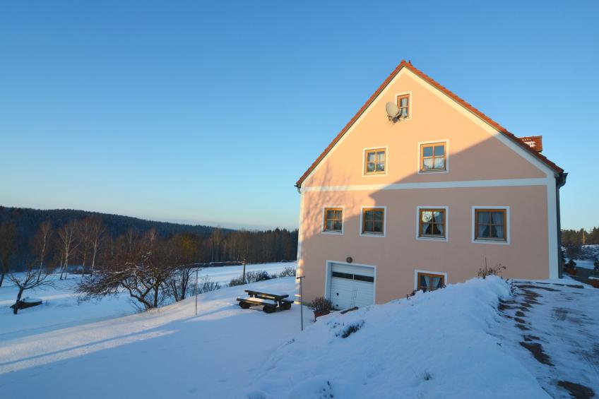 Blumenhof - Malven - foto 37
