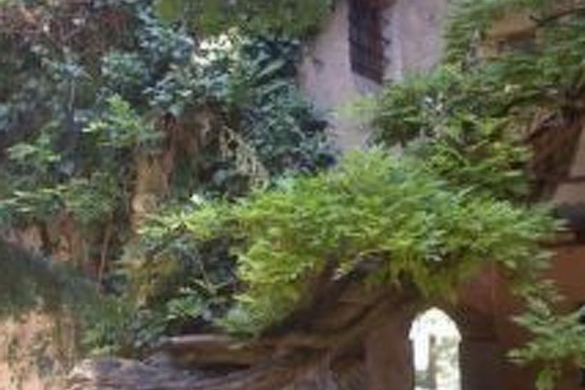 mit Privatparkplatz - foto 19