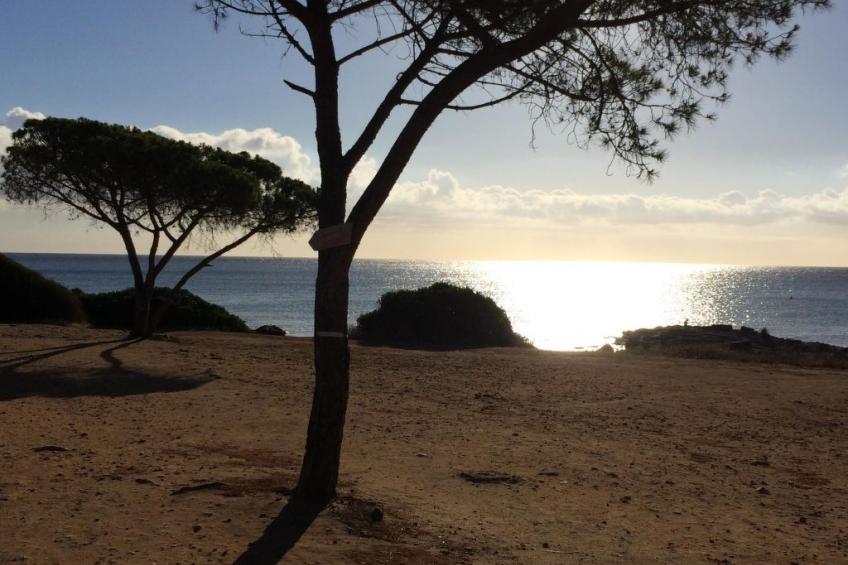 Gemütliches Ferienhaus mit Kamin in Porto Tramatzu - foto 7