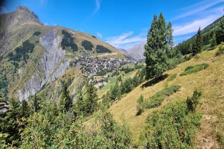 Coeur des Ours B N°01 - 3P6 - foto 19