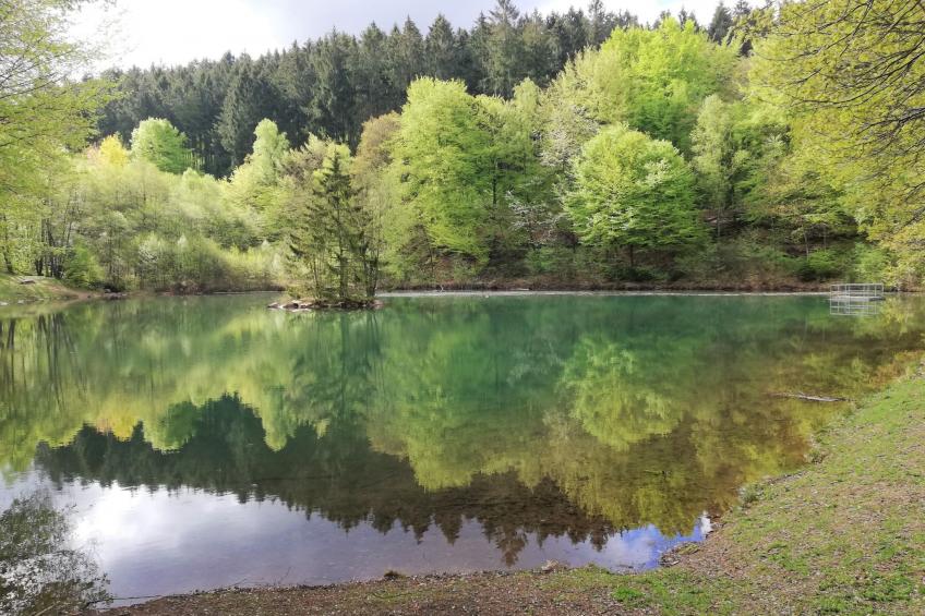 Geräumiges Ferienhaus in Holzerath mit Garten - foto 22