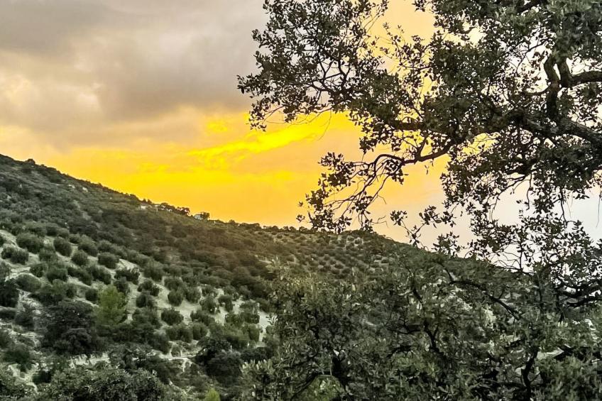 Finca "Casa Vieja" mit Bergblick - foto 24