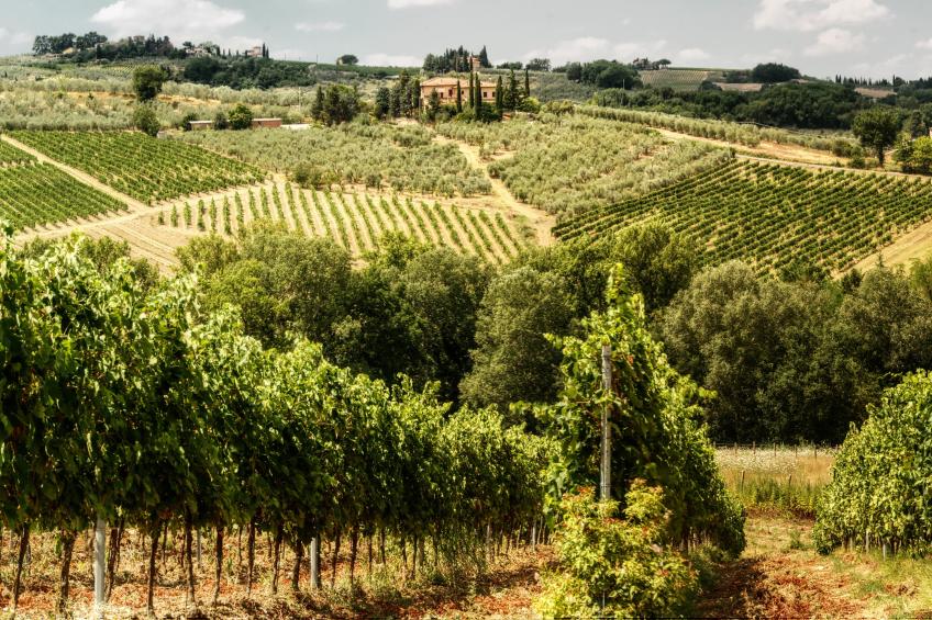 Chianti Wine Site Apt Private Balcony - foto 20