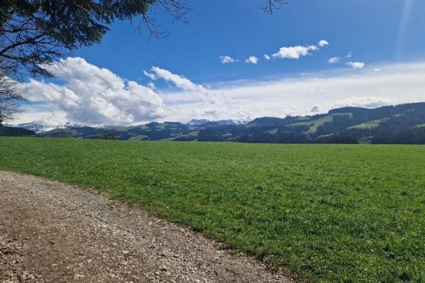 Emmental Ferien - foto 41