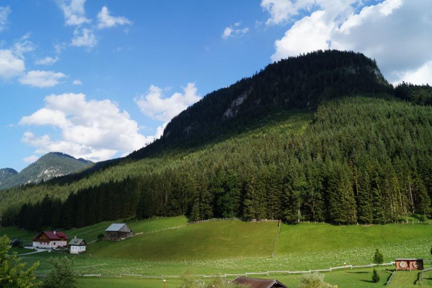 Apartment Daniel - foto 7