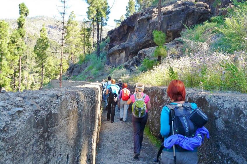 La Finca' Landhaus - foto 31