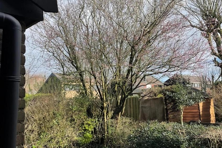 De Reker Zon - foto 34