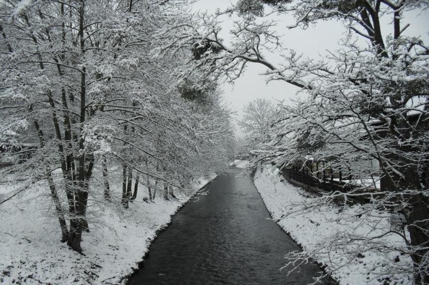 Sächsische Schweiz - foto 39