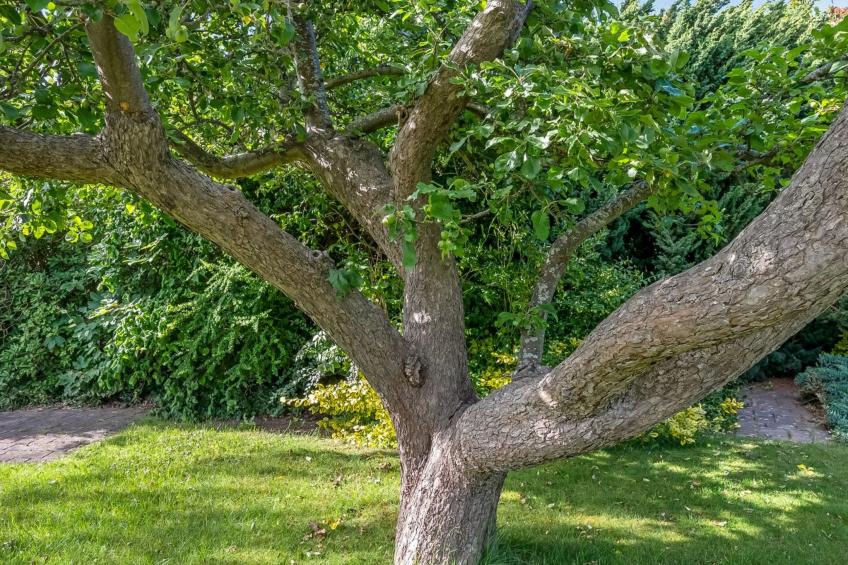 "Sampsa" - 75m from the sea - foto 5